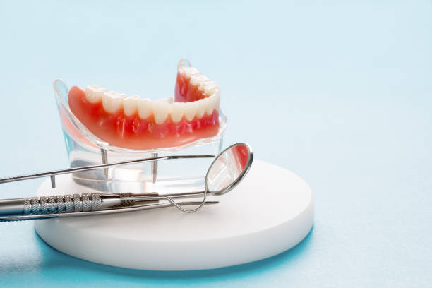 Staples, CT Holistic Dental Care Services Company